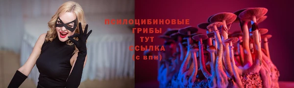 крисы Армянск