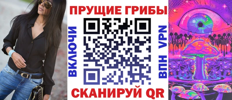 Псилоцибиновые грибы MAGIC MUSHROOMS  купить закладку  Чёрмоз 